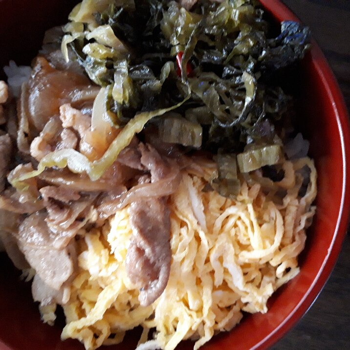 高菜の油炒めと錦糸たまごとしょうが焼き丼